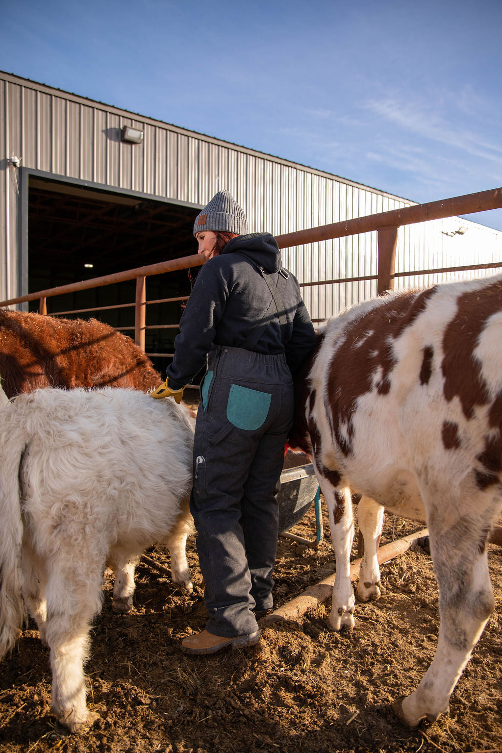 Person interacting with animals in a barn setting
