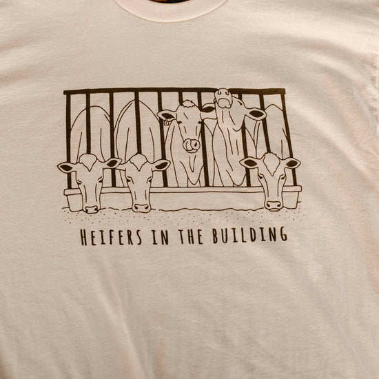 White t-shirt with black graphic of cows and text 'Heifers in the Building' on a hanger.