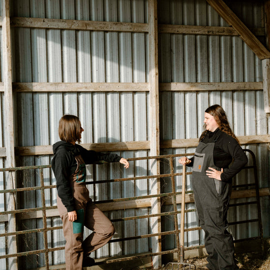Two people standing inside a barn, one reaching out to touch a metal gate.