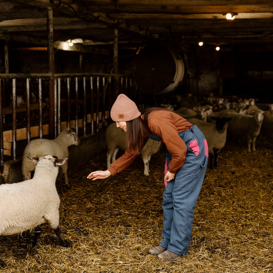 Person interacting with sheep in a barn setting